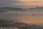 Morgenstimmung