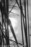Schattenspiel